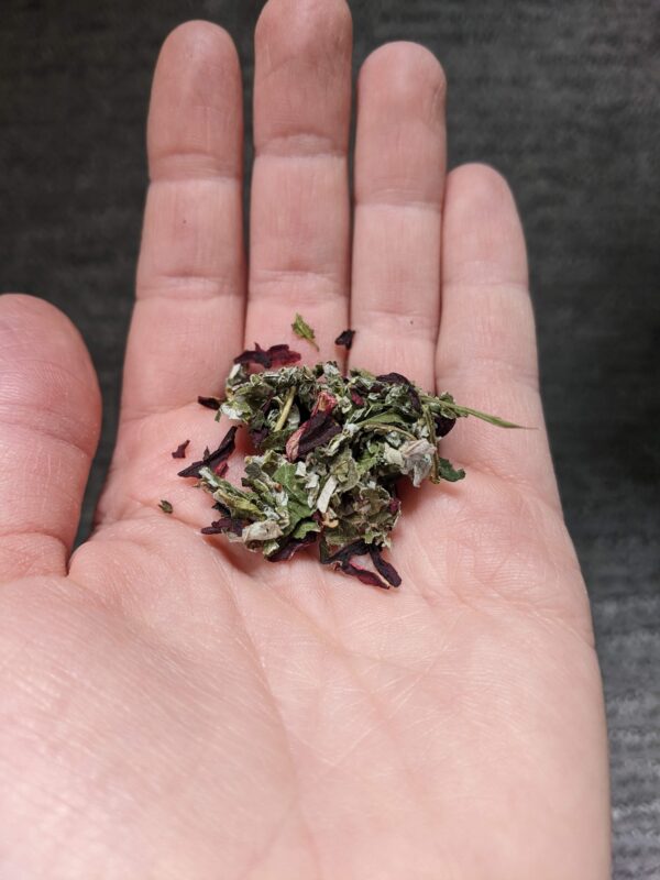 dried herbal tea in hand