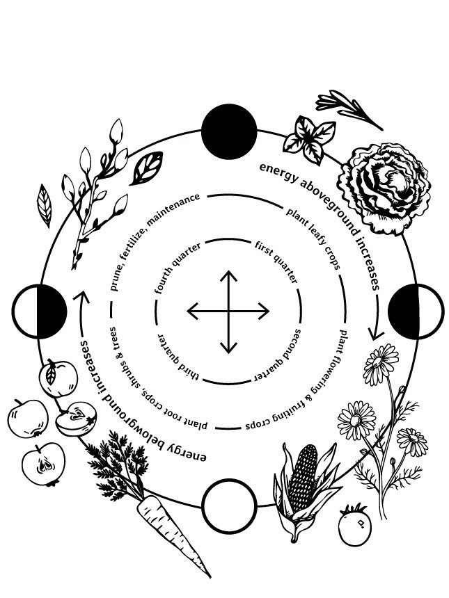 moon cycle with the growing seasons