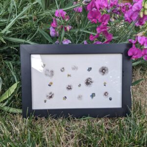 dried flowers in a frame