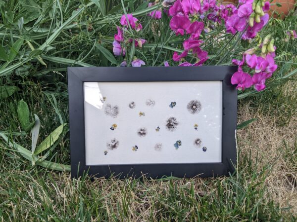 dried flowers in a frame