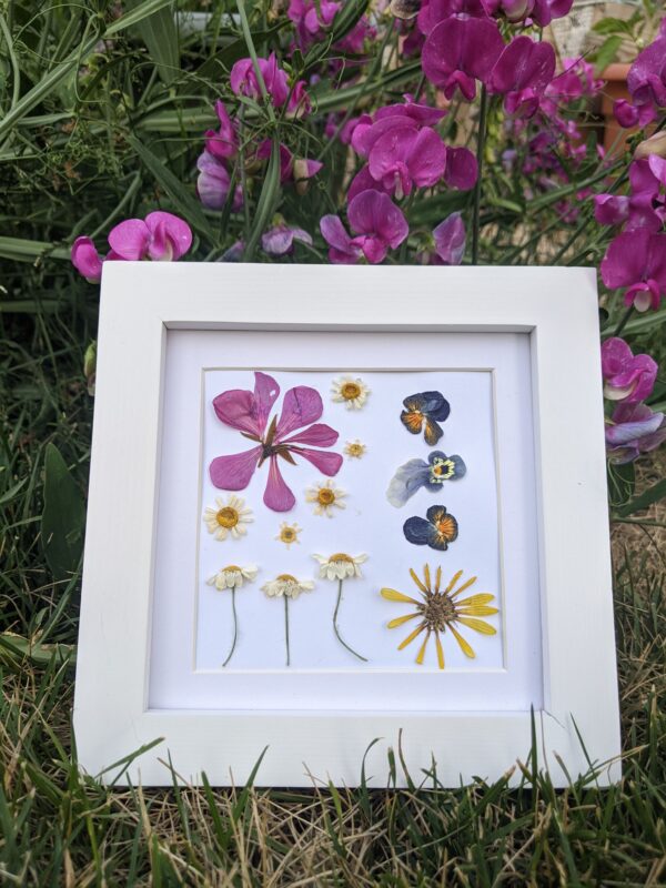 dried flowers in a frame