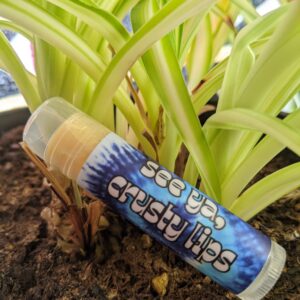 chapstick tube by a plant