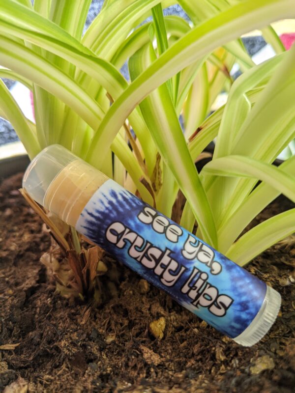 chapstick tube by a plant