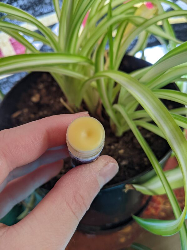 top view of a chapstick tube near a plant